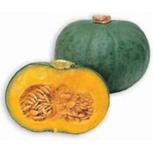 10 Heirloom Blue Kuri Japanese squash - Specialty ! Kabocha ! Tasty ! Asian ! USA !