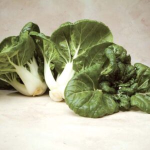 Toy Choy cabbage seeds - Asian Cabbage ! Pak Choi ! Miniature ! Fresh ! 130 seeds ! Dwarf !
