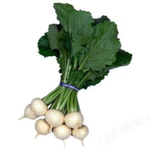 Heirloom Kanamachi Japanese turnip seeds - Fresh ! Asian ! Pure White ! Tasty ! 2024 !
