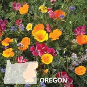 Premium Oregon Blend flower seed mix - Beautiful !! Grown in USA !! One gram !