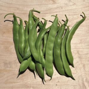 Dulcina Italian Bean