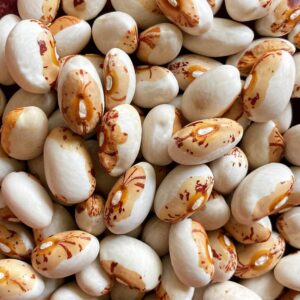 Hidatsa Shield Figure Bean