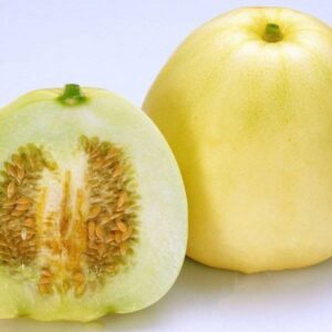 10 Heirloom Japanese New melon seeds - Sweet/juicy ! Grown in USA ! Asian ! Specialty ! Makuwauri ! Meron !