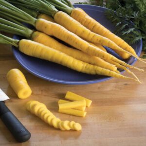 Organic Yellowstone Carrot, Pelleted