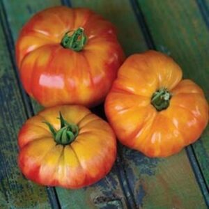 10 Heirloom Big Rainbow tomato seeds - Juicy, Productive, Beautiful ! USA !!  ! 2024 ! Specialty !