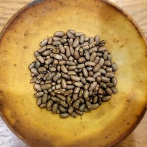 25 Heirloom Mbombo bean seeds - Grown in USA ! Tasty ! Crisp ! Fresh ! Beautiful ! African !
