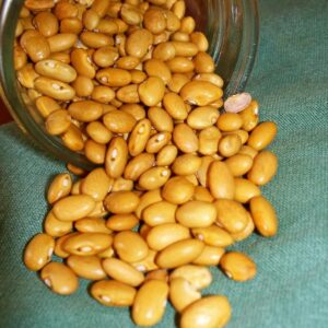 Yellow Indian Woman Bean
