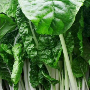 Heirloom Japanese Umaina Chard seeds - one gram appr 70 seeds - USA !! Fresh ! Healthy ! Salad green ! Gourmet ! Specialty ! Asian !