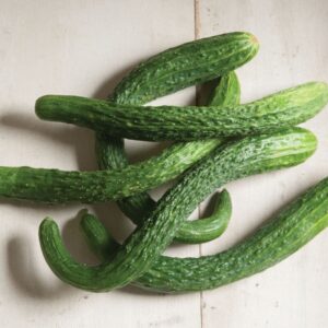 Organic Suyo Long Chinese Cucumber