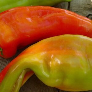 10 Giant Aconcagua pepper seeds - Sweet frying pepper - Grown in USA !! Tasty ! Specialty ! Heirloom !