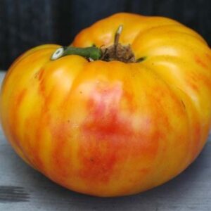 10 Heirloom Gold Medal tomato seeds - Grown in USA - Beautiful !! Juicy !! Specialty ! 2024 !