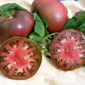 10 Heirloom Black Brandywine tomato seeds - Grown/harvested in USA - Jumbo/Juicy/Sweet !! Beefsteak ! Specialty !