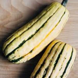 10 Delicata squash seeds - Grown/Harvested in USA Delicious ! Tasty ! Specialty ! 2024 ! Winter squash !