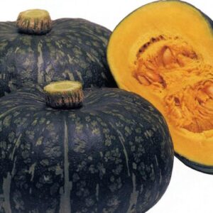 10 Kurinishiki Kabocha squash - Specialty ! Kabocha ! Tasty ! Asian ! USA !